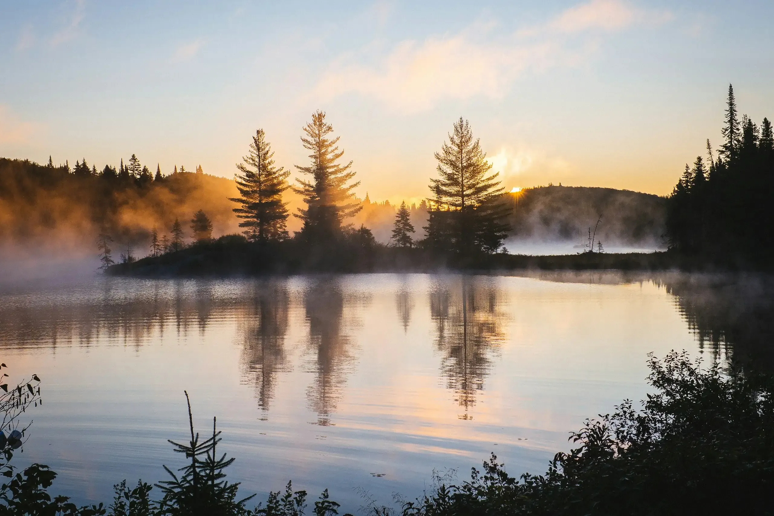 Un lac interior liniștit în zori, cu ceață pe apă și pădure de brazi pe mal